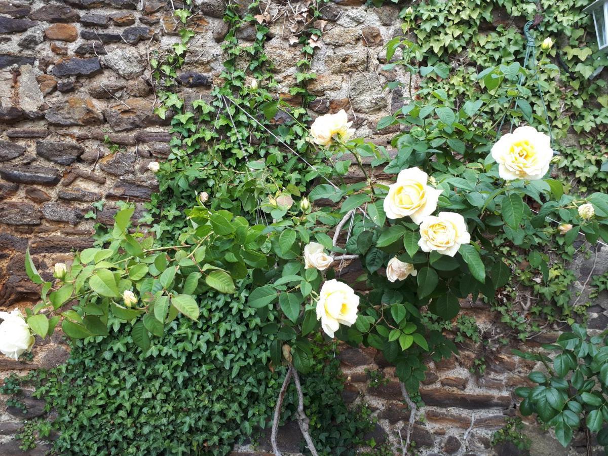 La maison d`hôtes de Constance Le Mans Exterior foto